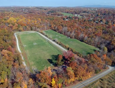 WSC Fields